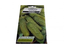 CORNICHON FIN DE MEAUX